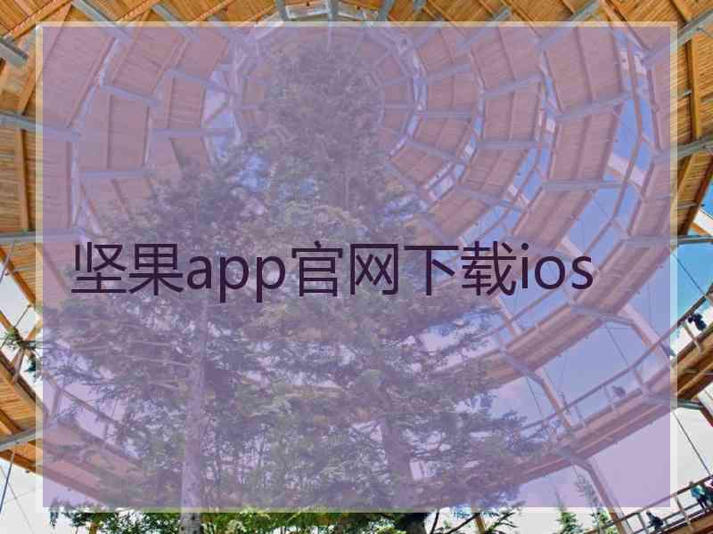 坚果app官网下载ios
