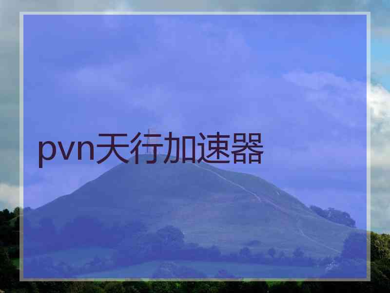 pvn天行加速器