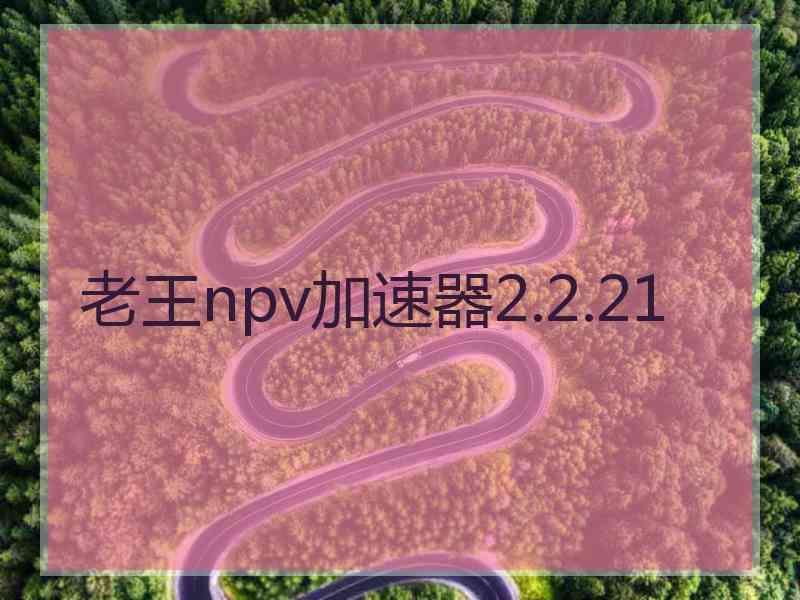 老王npv加速器2.2.21