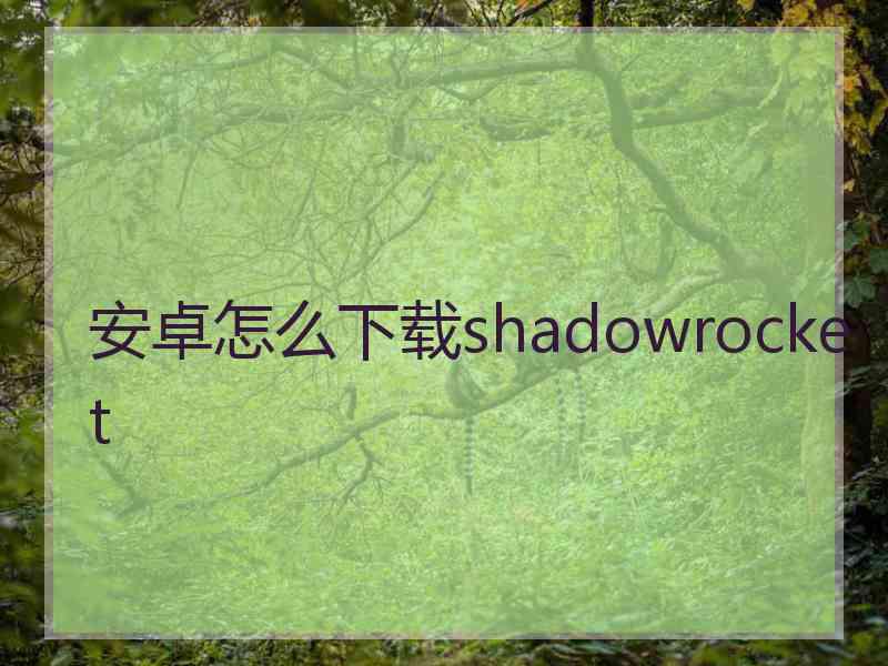 安卓怎么下载shadowrocket