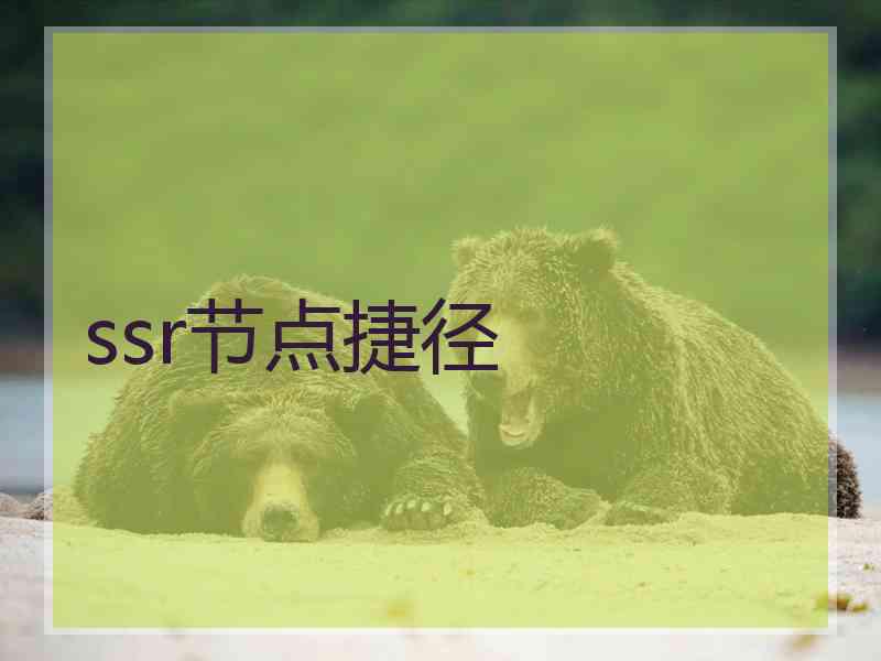 ssr节点捷径