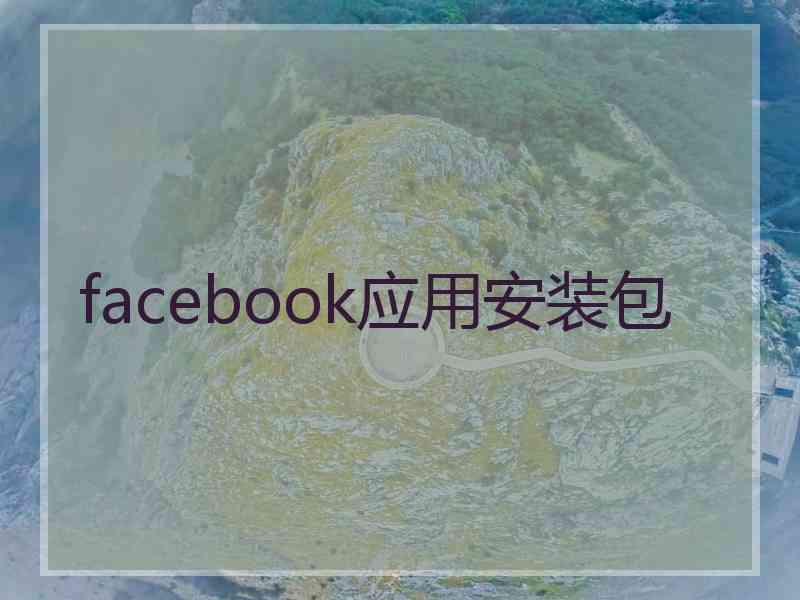 facebook应用安装包