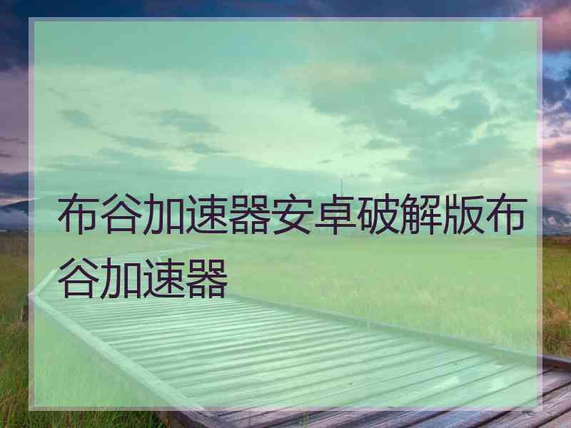 布谷加速器安卓破解版布谷加速器