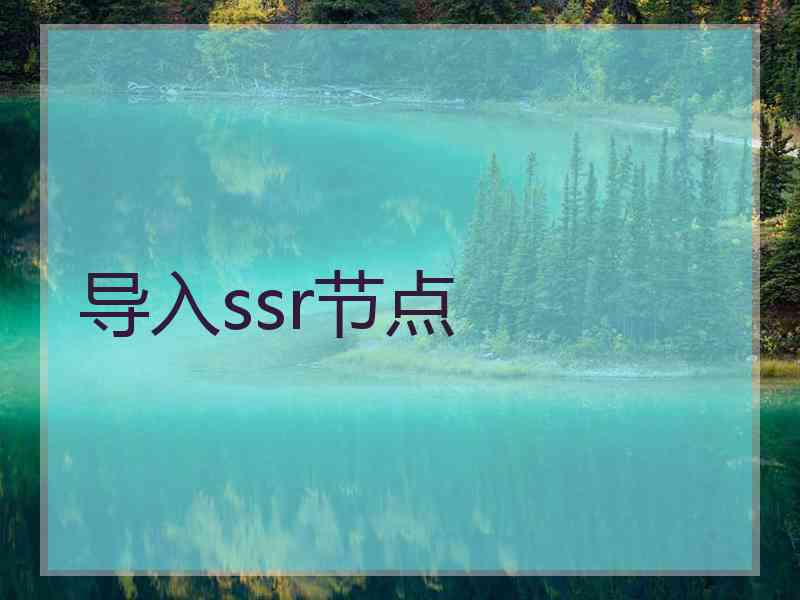 导入ssr节点