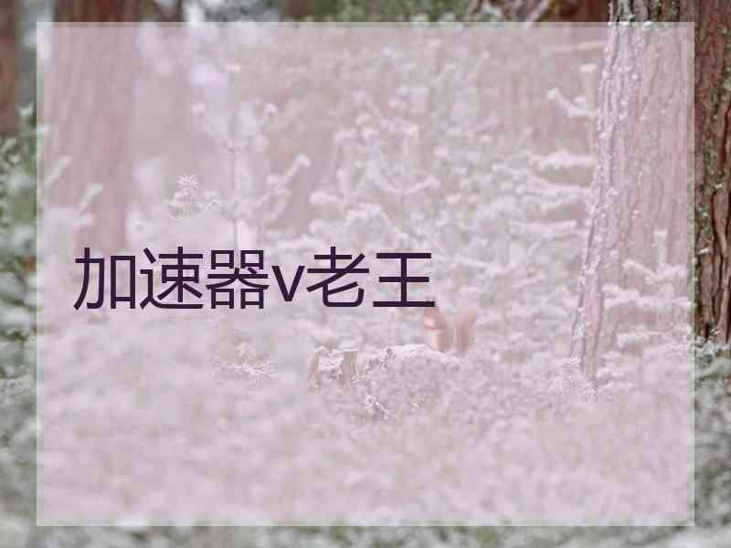 加速器v老王