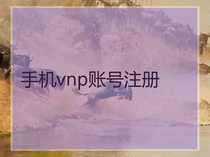 手机vnp账号注册