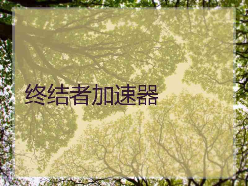 终结者加速器