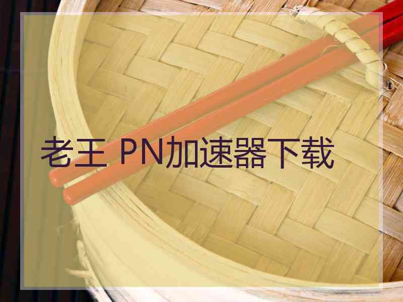 老王 PN加速器下载