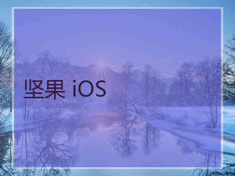 坚果 iOS