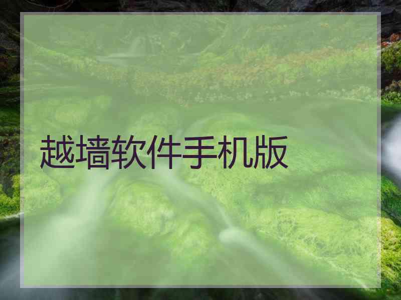 越墙软件手机版
