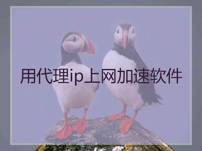 用代理ip上网加速软件