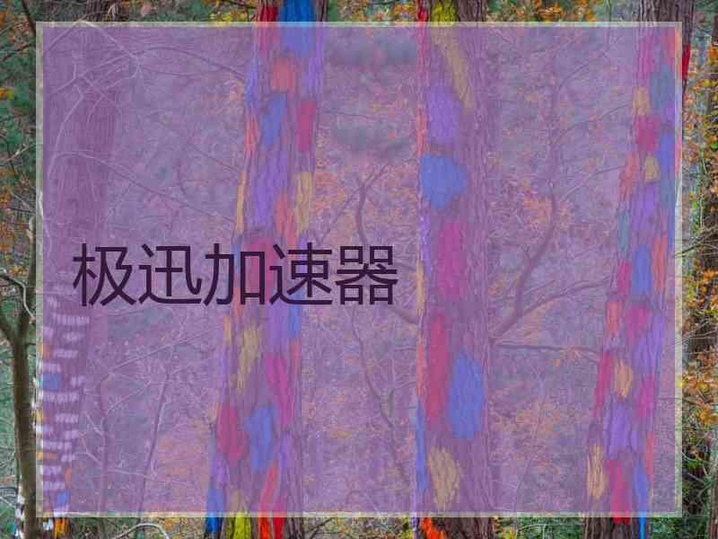 极迅加速器