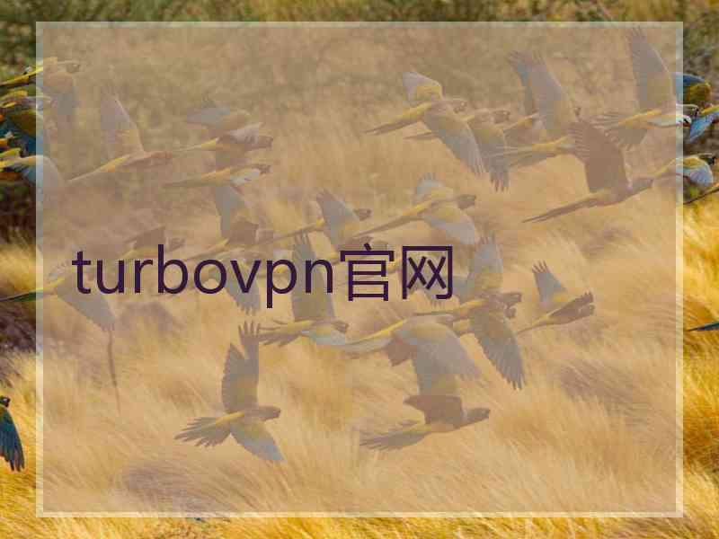 turbovpn官网