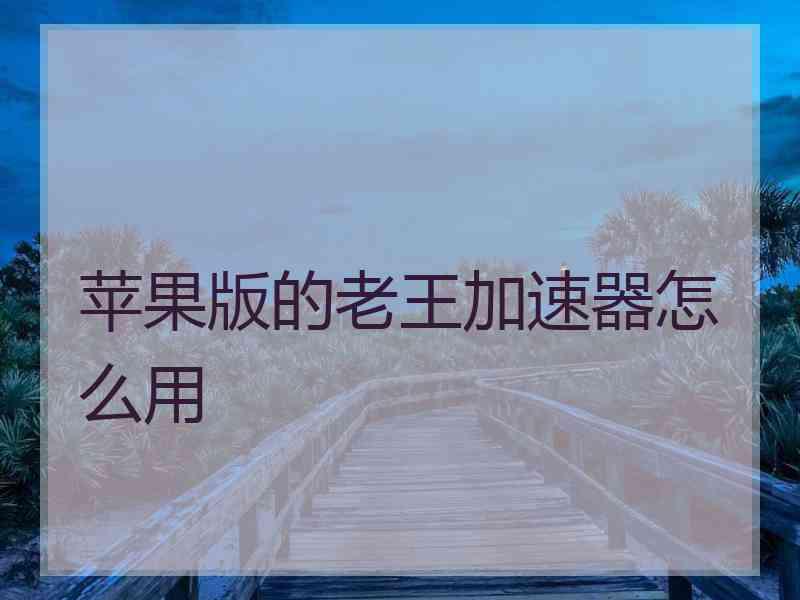 苹果版的老王加速器怎么用