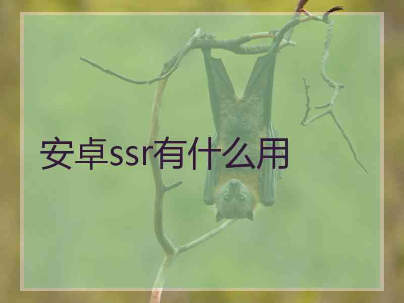 安卓ssr有什么用