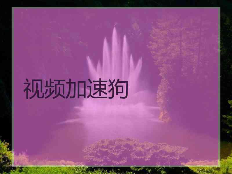 视频加速狗
