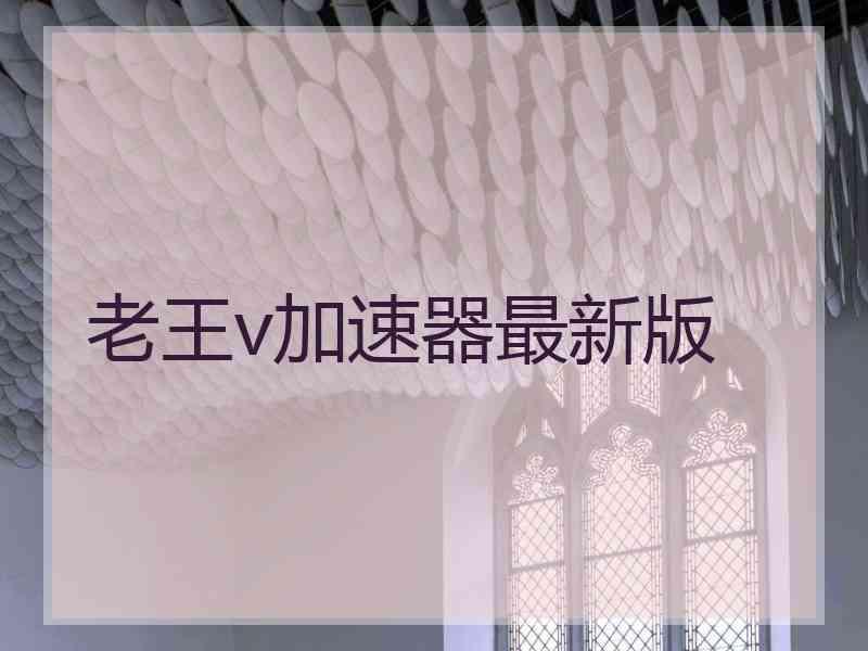 老王v加速器最新版