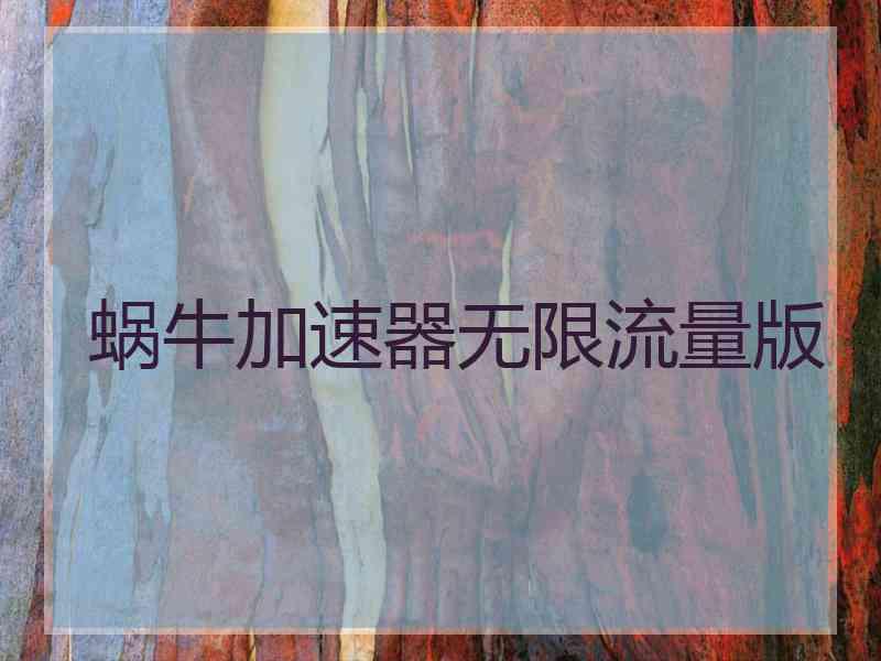蜗牛加速器无限流量版
