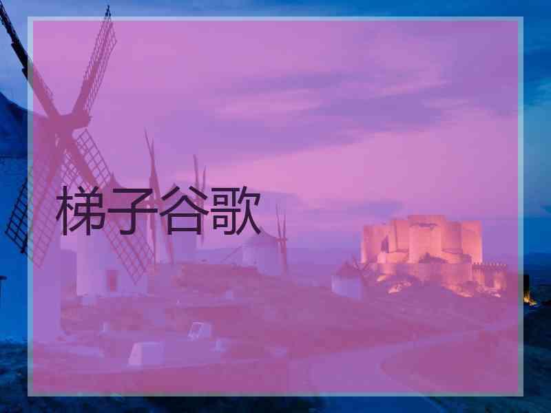 梯子谷歌