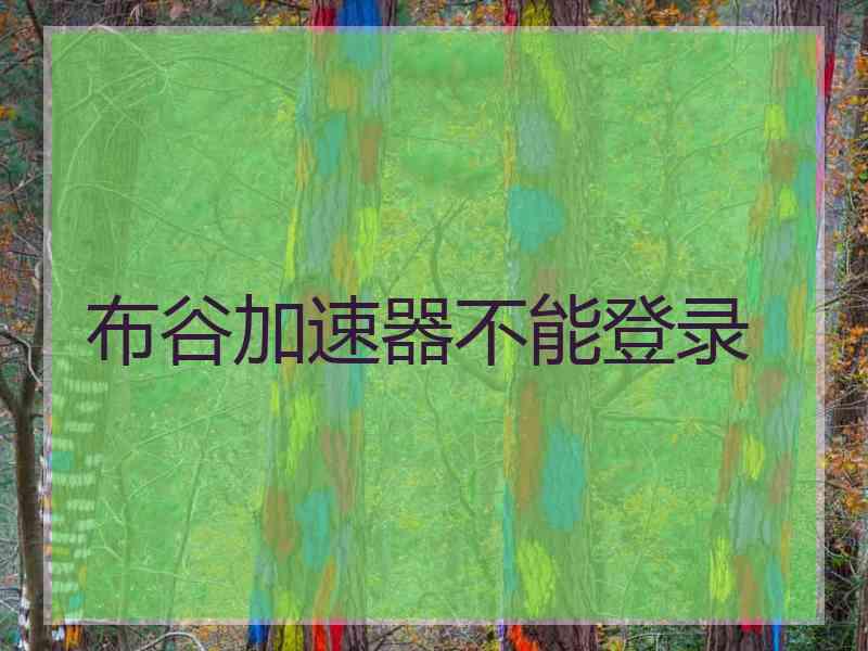 布谷加速器不能登录