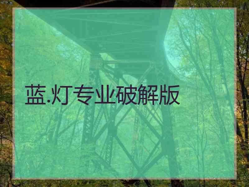 蓝.灯专业破解版