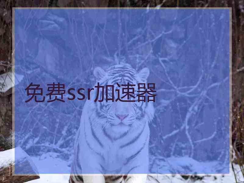免费ssr加速器