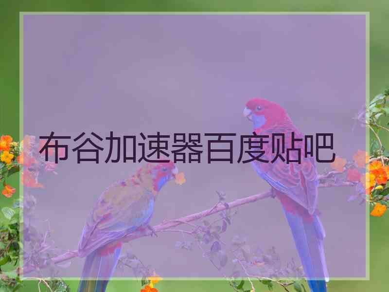 布谷加速器百度贴吧