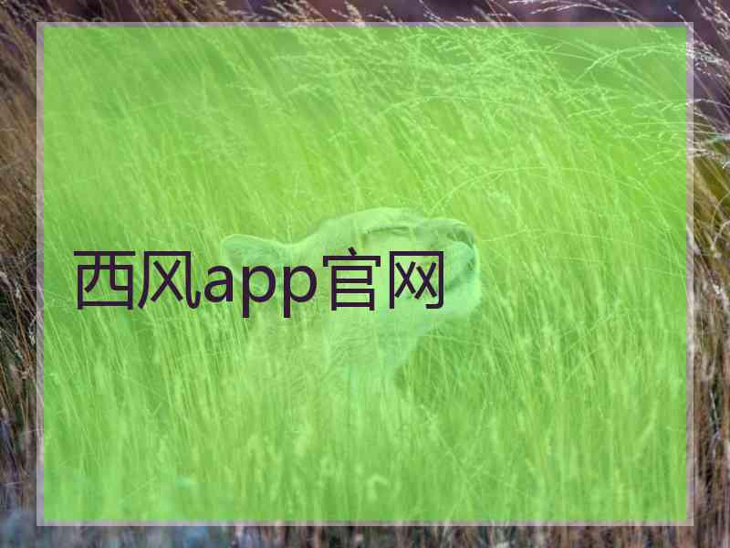 西风app官网