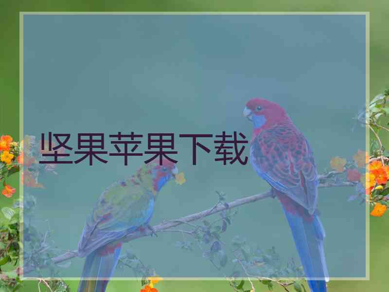 坚果苹果下载
