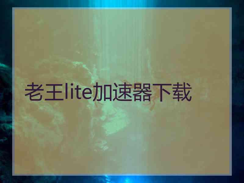 老王lite加速器下载