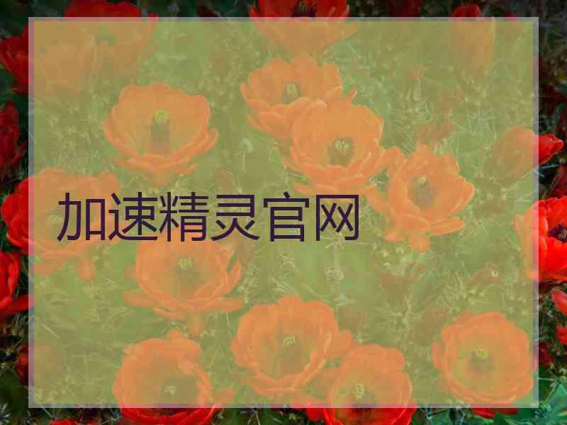 加速精灵官网