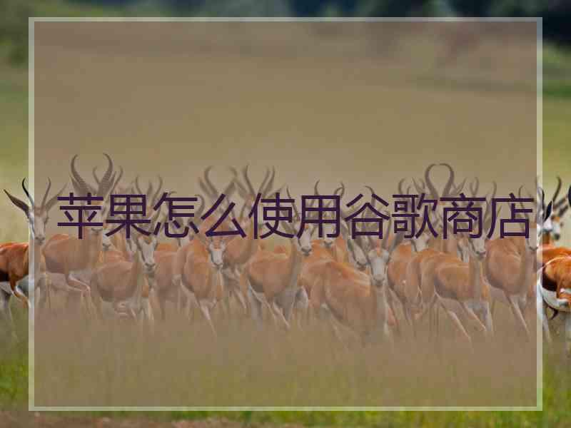苹果怎么使用谷歌商店