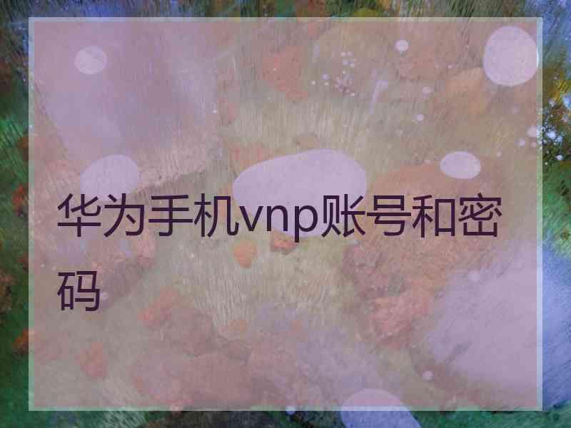 华为手机vnp账号和密码