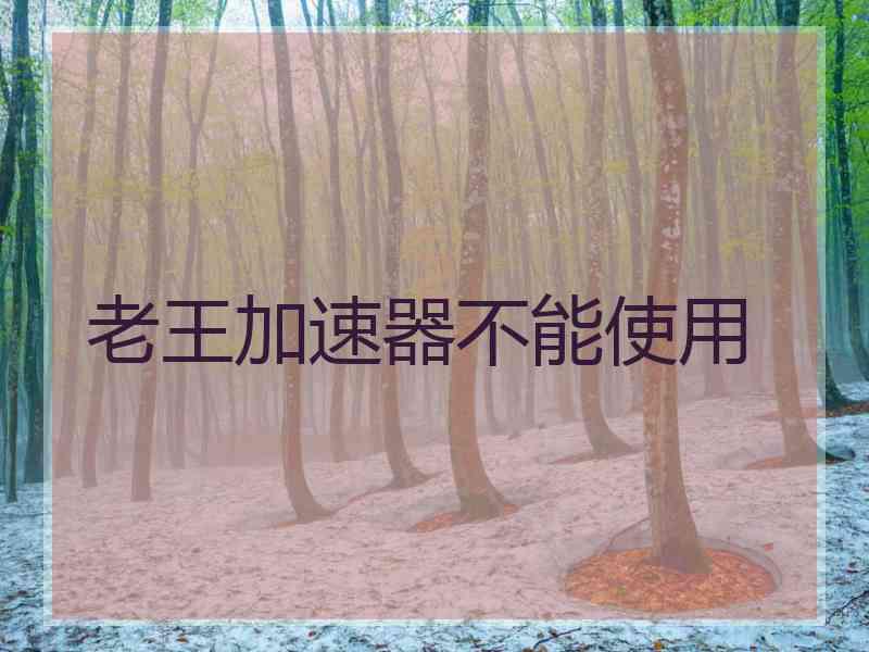 老王加速器不能使用