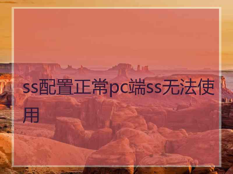 ss配置正常pc端ss无法使用
