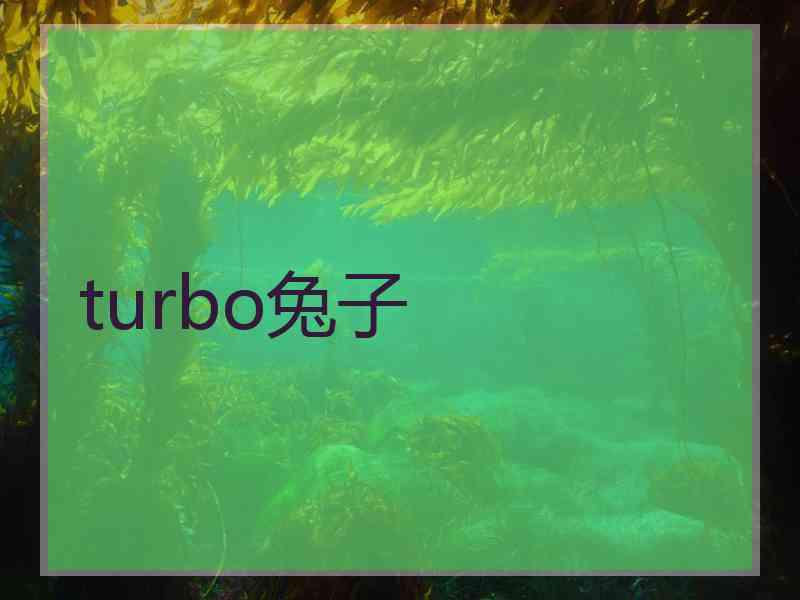 turbo兔子
