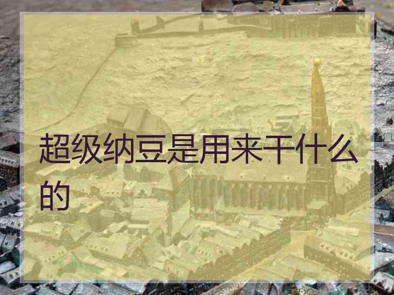 超级纳豆是用来干什么的