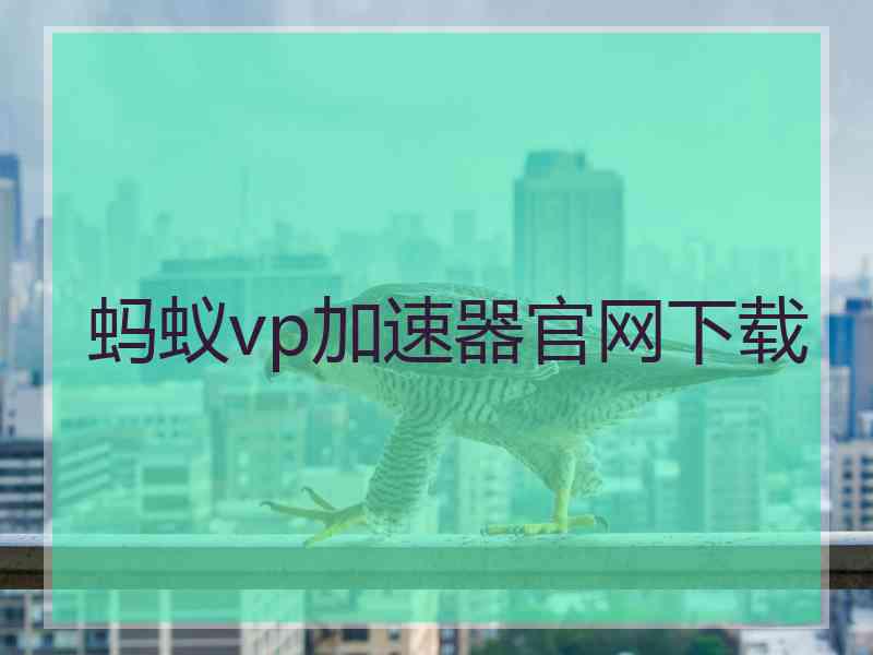 蚂蚁vp加速器官网下载