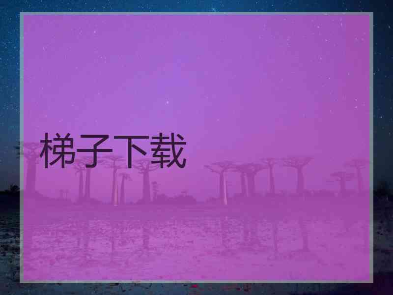 梯子下载