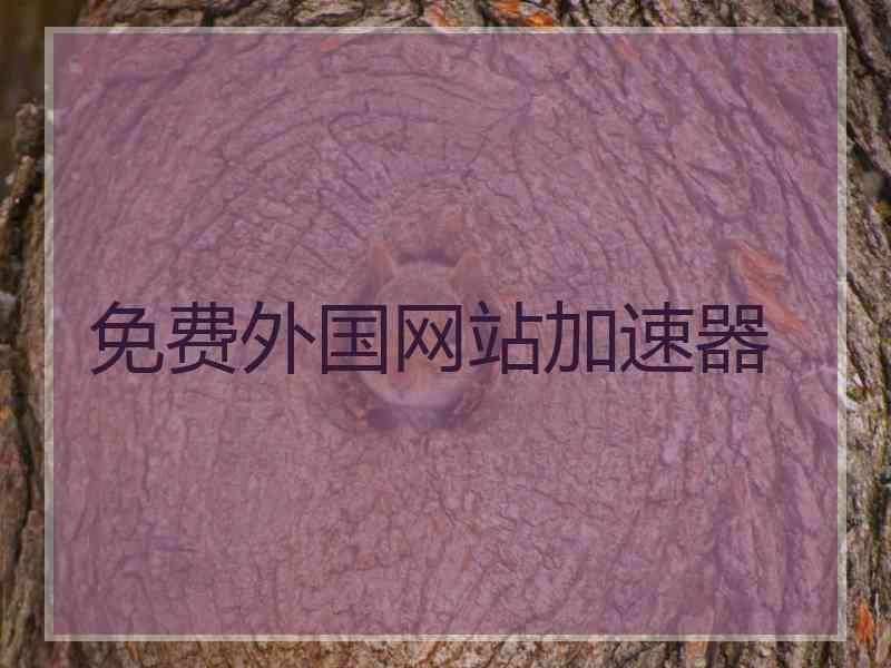 免费外国网站加速器