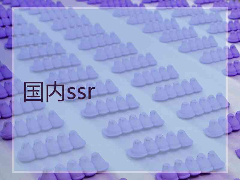 国内ssr
