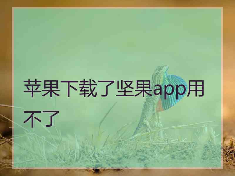 苹果下载了坚果app用不了