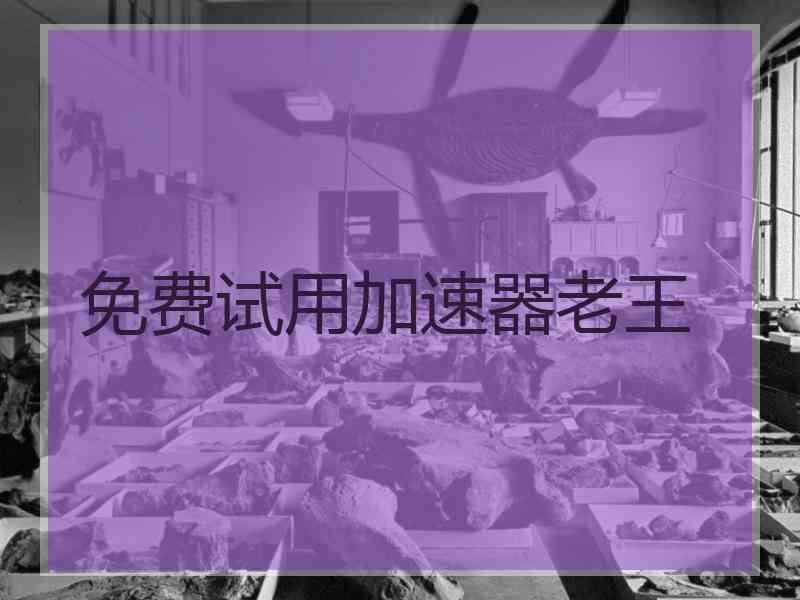 免费试用加速器老王