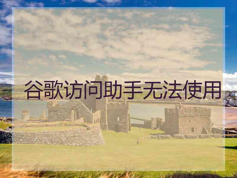 谷歌访问助手无法使用