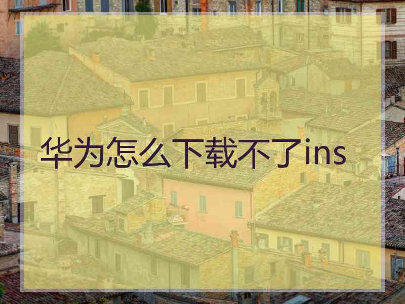 华为怎么下载不了ins