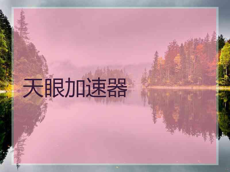 天眼加速器