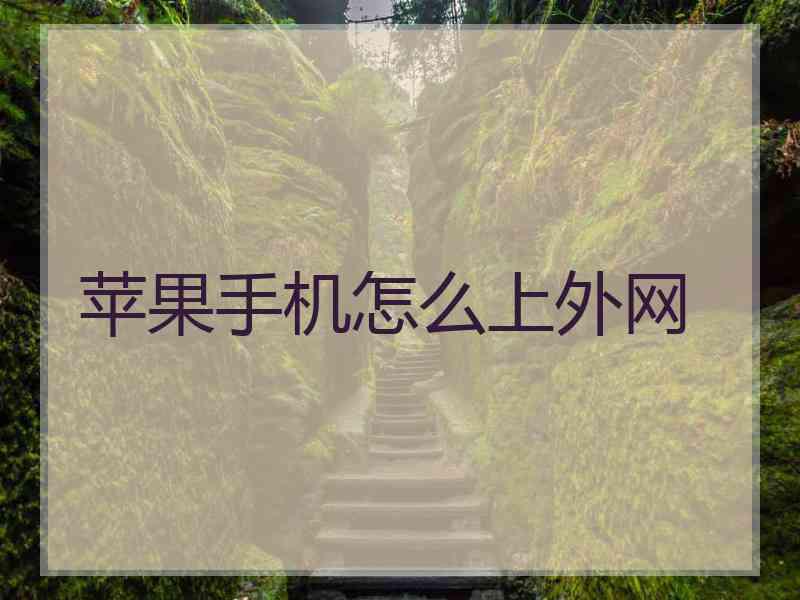 苹果手机怎么上外网