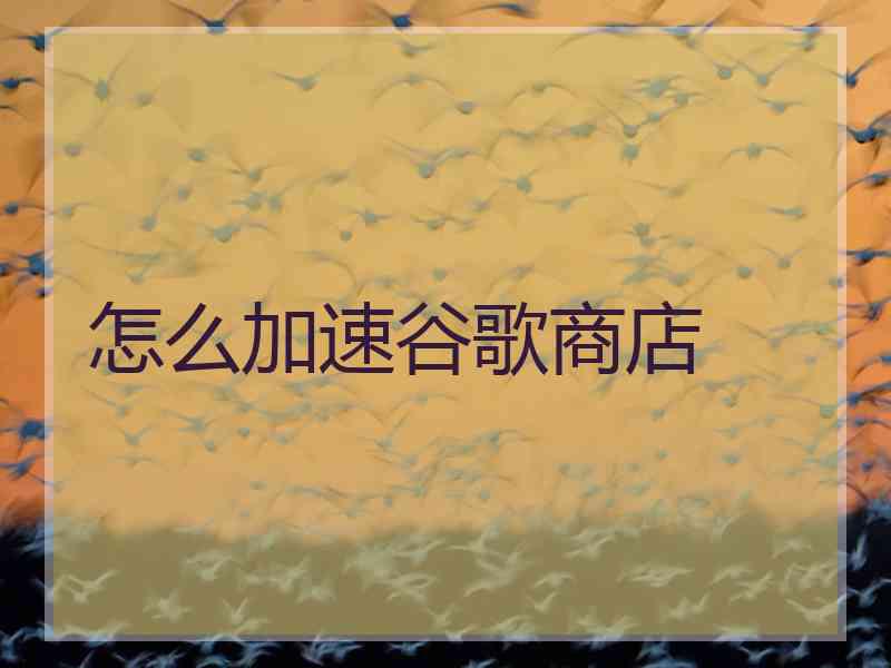 怎么加速谷歌商店