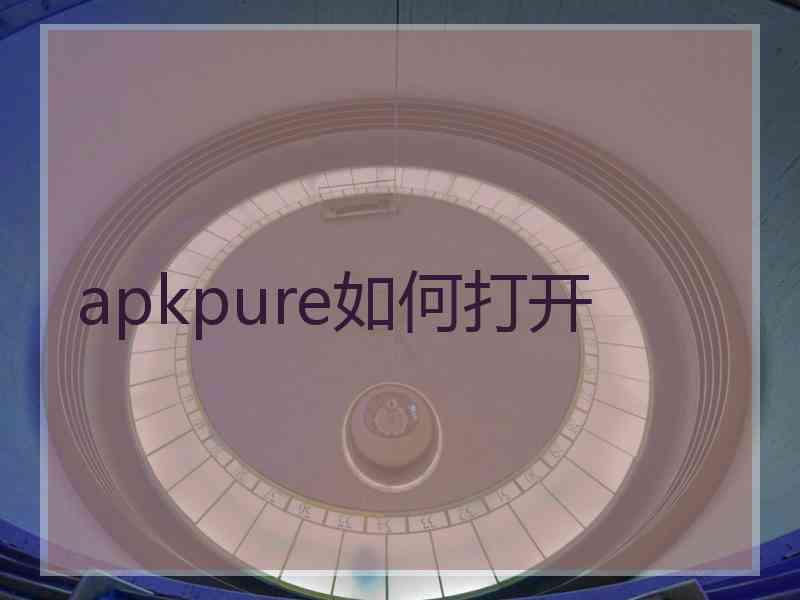 apkpure如何打开