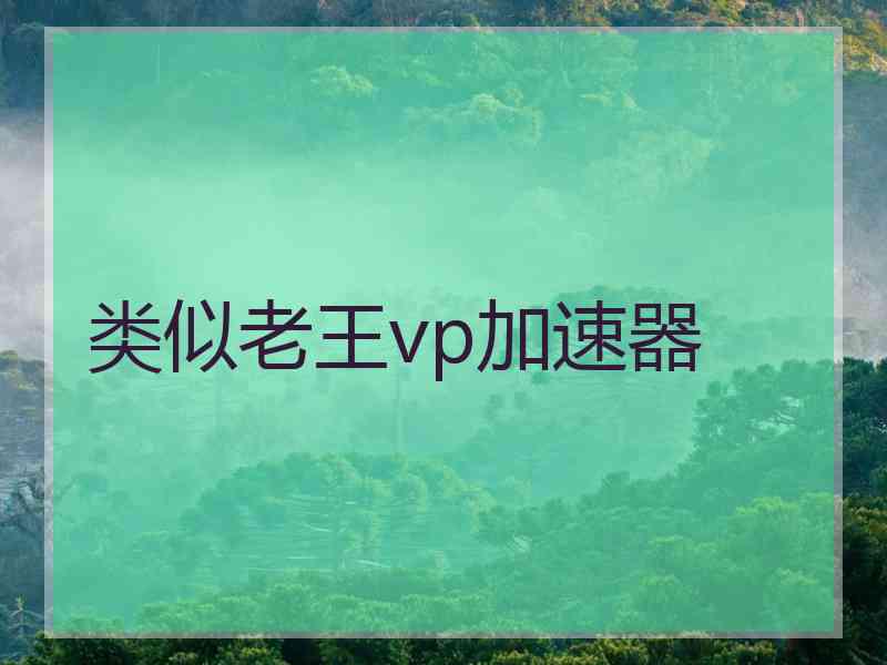 类似老王vp加速器